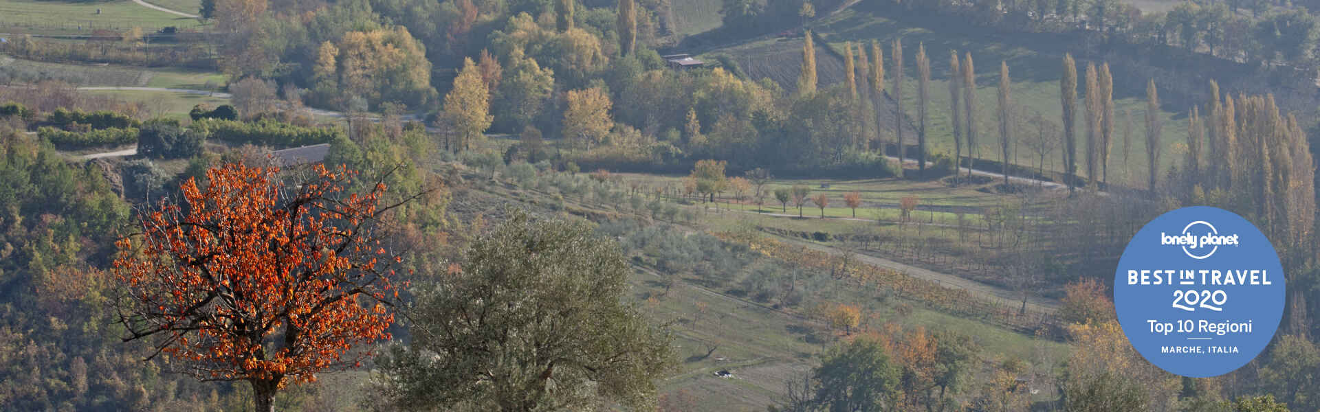 Riserva Naturale Regionale del Monte San Vicino e del Monte Canfaito - Fabriano (AN)
